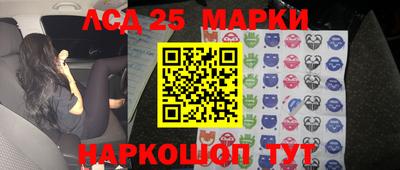 шишки Гатчина