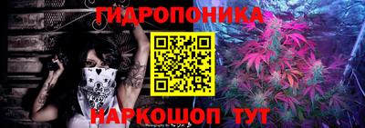 шишки Гатчина